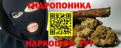 шишки Волжск