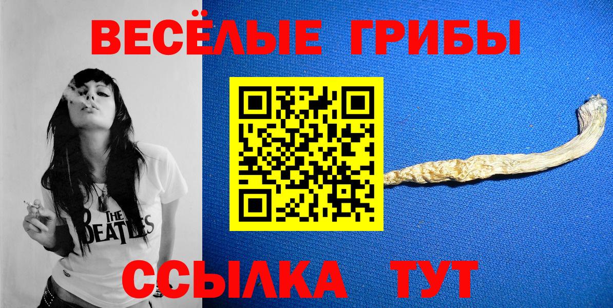 Псилоцибиновые грибы мухоморы Гусев