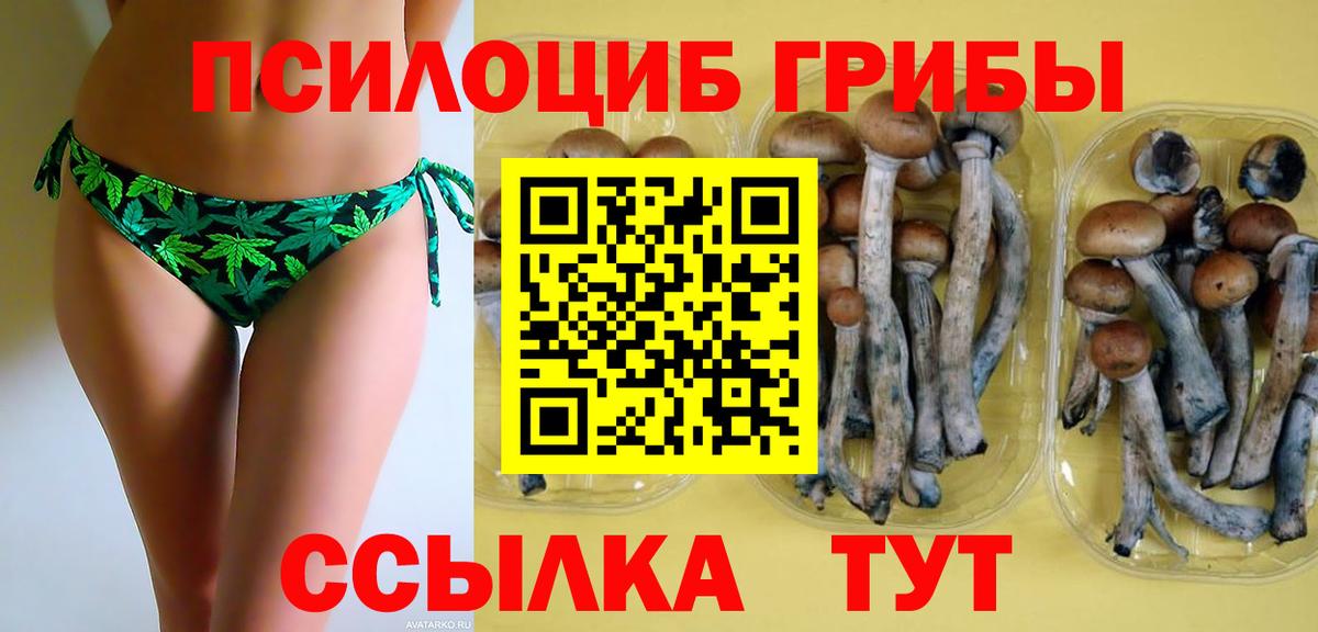 Галлюциногенные грибы прущие грибы Гусев