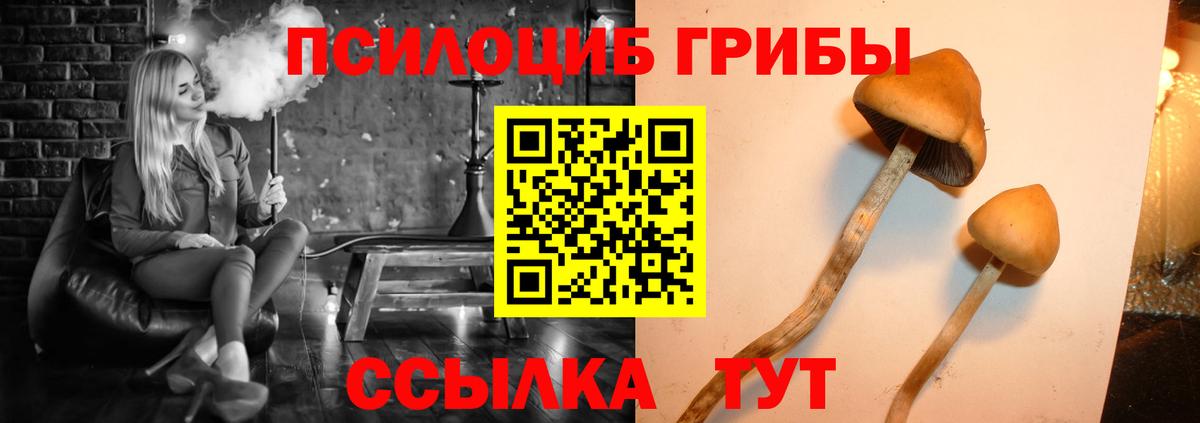 Галлюциногенные грибы Cubensis  Гусев  Псилоцибиновые грибы GOLDEN TEACHER 